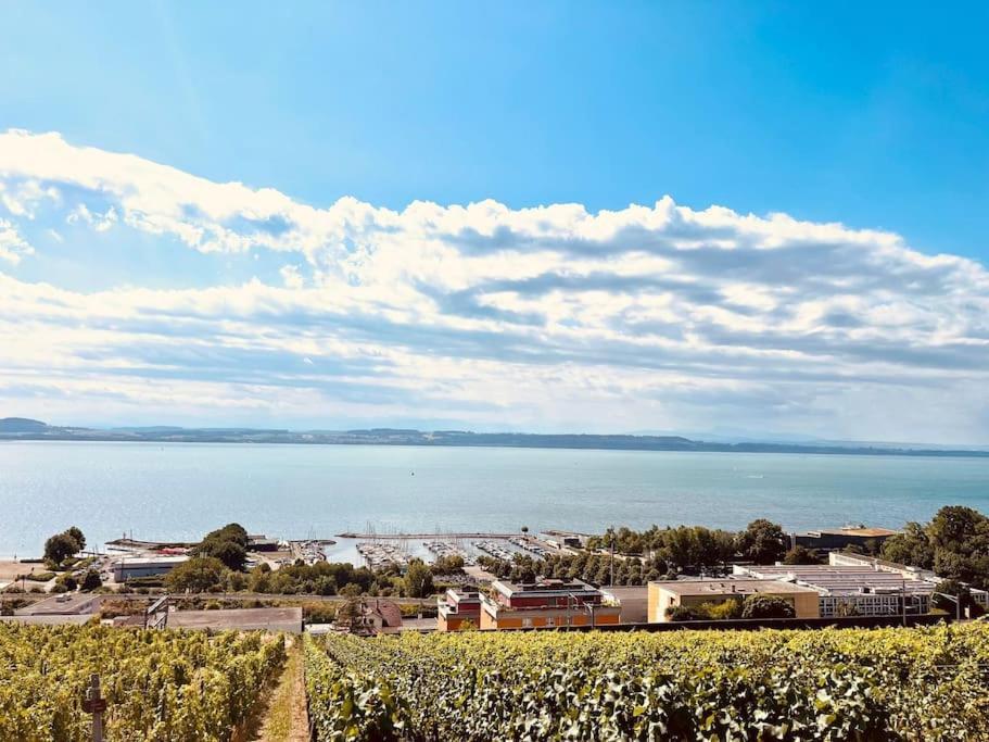 Charmant Appartement De Vacances Alta Ripa Hauterive  ภายนอก รูปภาพ