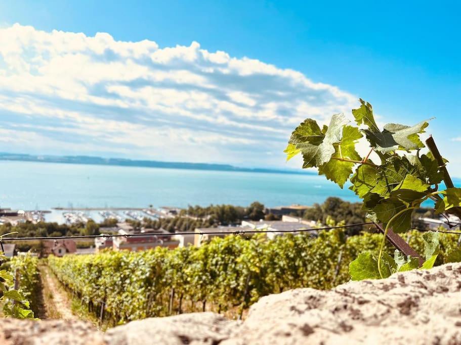Charmant Appartement De Vacances Alta Ripa Hauterive  ภายนอก รูปภาพ